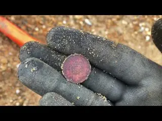 First BEACH hunt with the Manticorblimey