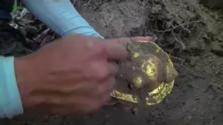 Hunting Treasures Beneath the Caribbean Sea