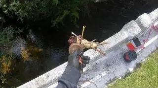 Pesca magnética No Rio das oferendas Enchi os bolsos de