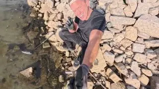 Niedrigwasser am Rhein mit dem Metalldetektor im