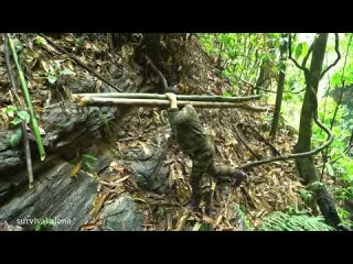 move to new land rebuild shelter find wild animals in the