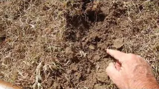 Metal Detecting an Abandoned Mountain Mining Town Button