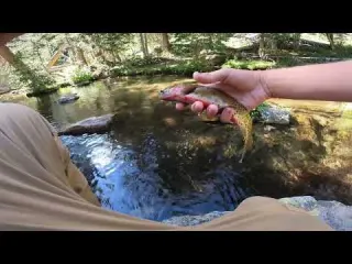 Fly Fishing NEON BLUE Water Hiking and Fishing Rocky