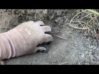 Nezvaná návštěva ve staré zahradě a nález tajemné mince