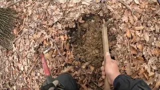 Back after a year and already AMAZING finds