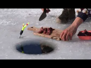 I Caught a Lot Of Fish İn The Frozen Lake At 18 Degrees