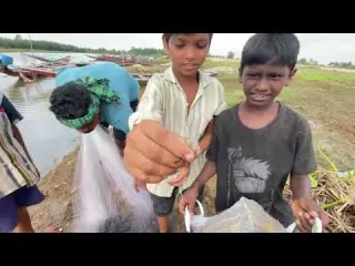 Net Fishing Videos Traditional Cast Net Fishing in River