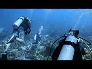 Scuba 422 29 Diving St Croix VI