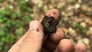 SCHATZSUCHE Mysteriöser Krater im Wald Was findet der