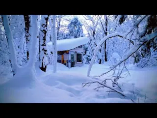 Tiny Cabin GIANT SNOWSTORM Extended Cut