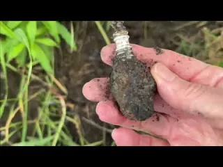 Look What We Found Under a Collapsing Riverbank