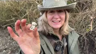 Cute and Cursed Mudlarking Finds Haul Precious Puppy and