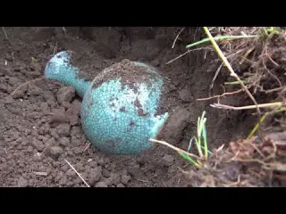 Search for treasures in the wilderness and dig up golden