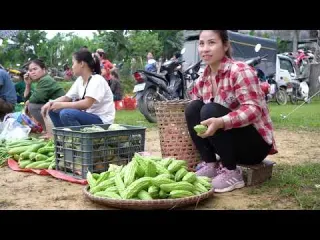 Harvesting melon and bitter melon bringing it to the market