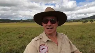 Metal Detecting a One Room School Garrett AT Max