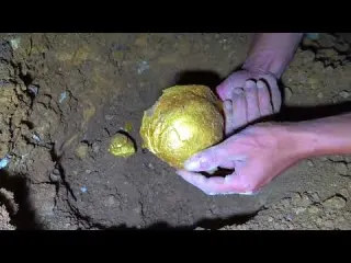 I found a treasure guarded by a pheasant in the cave
