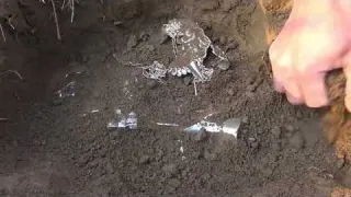 Metal detector explores the wilderness and unexpectedly