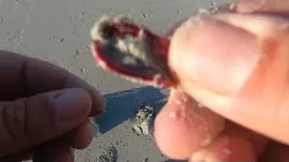 Beach Metal Detecting Langebaan Western Cape