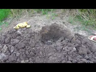 I searched for treasures by the dry pond and dug out golden