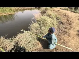 Live fishing updates October 2026 sweet