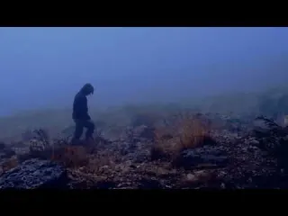 Alone in a Deadly Blizzard My Dog and I Survived in a Stone