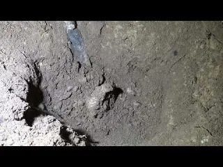 The mystery of treasure the journey of searching for