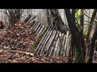 Cozy Shelter Camping in Heavy Rain 2 Rainy Nights in the
