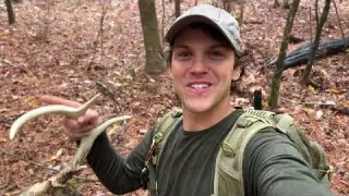 Found Deer Skull and Old Coins while Metal Detecting Nugget