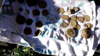 Détection De Métaux 1 2 écu Louis XV et le lingotin d or