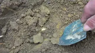 Looking for treasure in the wild accidentally finding