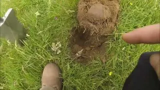 Détection de Métaux Un festival d argent trouvailles Metal
