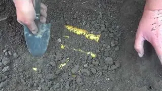 Adventure Wonders Metal Detector Takes Me to Experience the