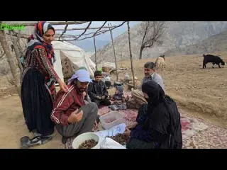 Real Nomadic Family Life in Zagros Mountains Building a