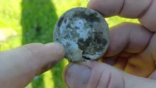 Keyhole Bonanza Metal Detecting Wellington South Africa