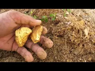 Unbelievable Gold Discovery I Found a Giant Gold Nugget