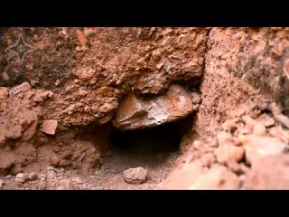 Metal Detecting an ABANDONED HOUSE Found Ancient Treasure