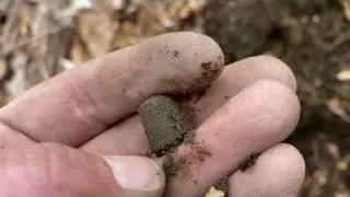 FORGOTTEN For Almost 300 YEARS Until I FOUND IT Metal