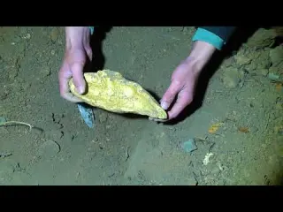The treasure hunter s luck exploded and they dug up a huge