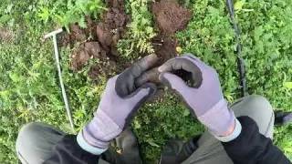 SIE DÜRFEN DAS AUCH Dorfpolizist ist misstrauisch Top Funde