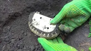 Today I was so lucky that I accidentally dug up the