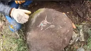 EŞKİYA YOLU ÜZERİNDEKİ MUHTEŞEM TUZAKLI DEFİNEYİ CIKARDIK