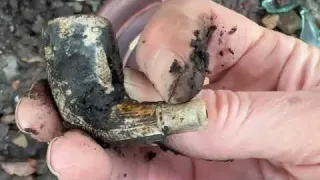 The Foreshore is Eroding and Exposing all the Treasures