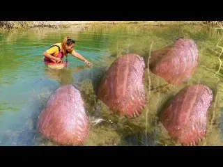 Beautiful river clams emit dazzling light underwater