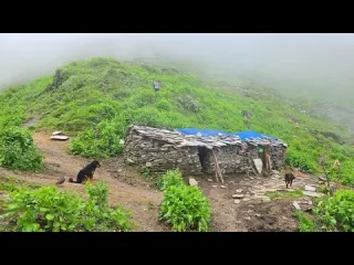 Real Nepali Mountain Village Life During Heavy Rain Season