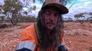 How Friggin Good does GOLD Sound on a Metal Detector