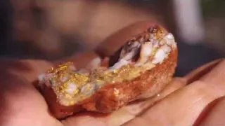 Eastern Goldfields The Lure of GOLD