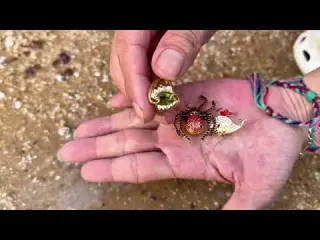 I Cleaned Under Waves for 24 Hours and Found Blue Dial
