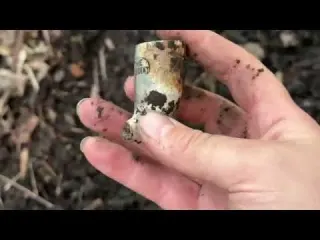 Fighting Invaders in the Woods to Win the Treasures
