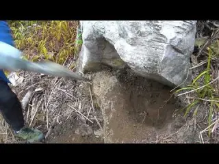 128Shocking Gold Discovery Unearthed in Mountain Mud