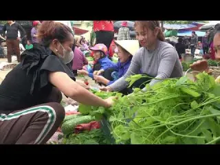 Harvesting vegetables gourd bring to the market to sell 154